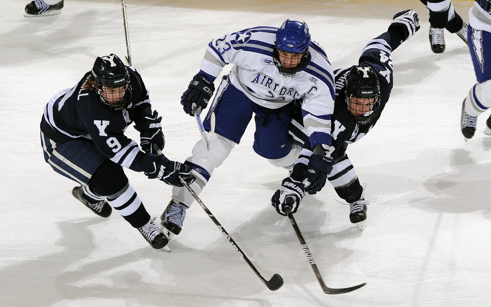 丹佛之巅，约基奇完美掌控全局，掘金主场碾压老鹰展现冠军底蕴